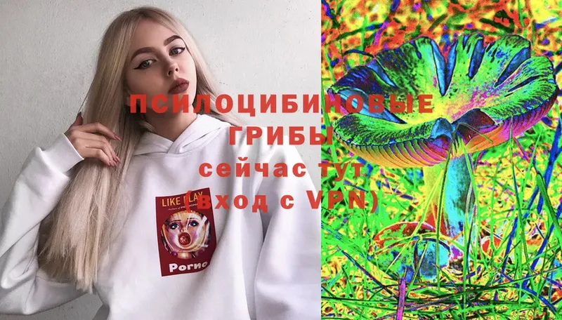 Галлюциногенные грибы MAGIC MUSHROOMS  Заполярный 